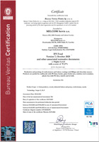 Certifikát jakosti IFS - EN